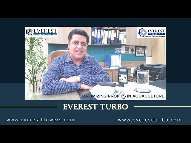 Everest Turbo insight image